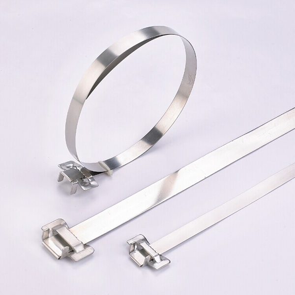 Ear Lokt Buckle Stainless Steel Cable Tie